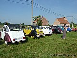 Zandlemig Vlaanderen